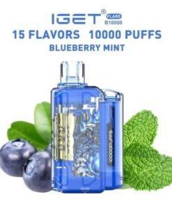 IGET FLARE B10000 Rechargeable (10000 Puffs)